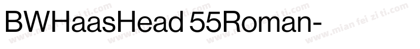 BWHaasHead 55Roman字体转换